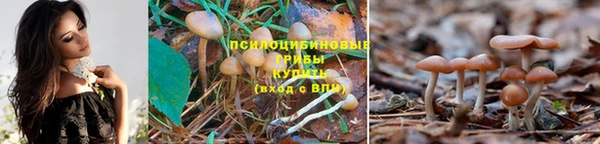 марихуана Абдулино